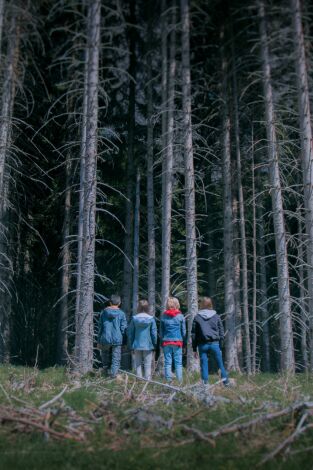 ZombieLars. T(T3). ZombieLars (T3): Ep.8 El bosc