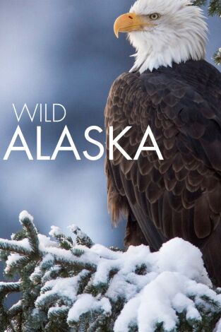 Alaska salvaje: Primavera