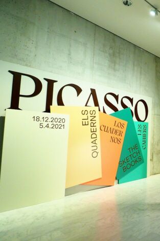 Un passeig pels museus. Un passeig pels museus: Un passeig pel Miró