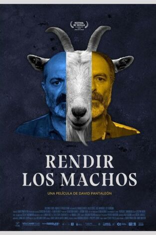Rendir los machos