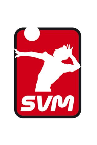 Superliga masculina de voleibol
