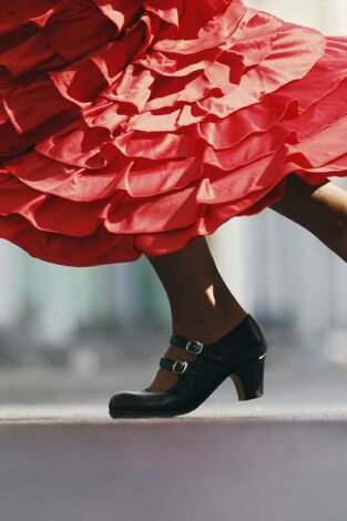 Premios Tradición y Folklore