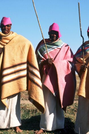 Inside Africa. T(T7). Inside Africa (T7): Inside Africa LIAF