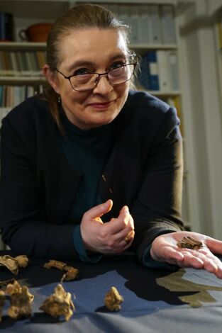 Tesoros al descubierto. Tesoros al descubierto: La ciudad sumergida de Roma