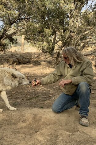 ¿Cómo lo hacen? Mundo animal: Eso sí que es un pez inteligente