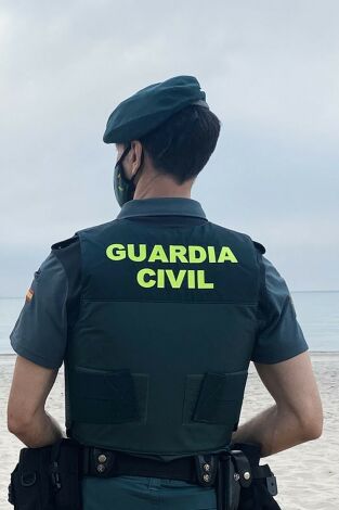 Póster de Seprona en acción