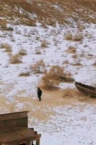 Ingeniería abandonada. Ingeniería abandonada: Chernóbil tras el desastre
