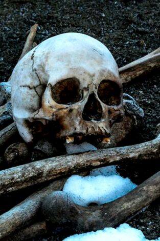 Arqueología en el hielo. Arqueología en el...: La peste de la Edad de Piedra