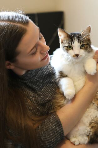 El encantador de gatos. T(T9). El encantador de gatos (T9)