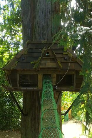 Supercasas para mascotas. T(T1). Supercasas para mascotas (T1)