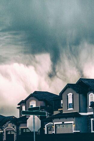 Viviendo con un asesino. Viviendo con un asesino 