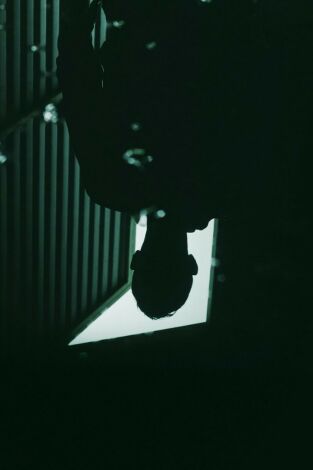 Signs of a Psychopath. T(T2). Signs of a Psychopath (T2): Ep.10 