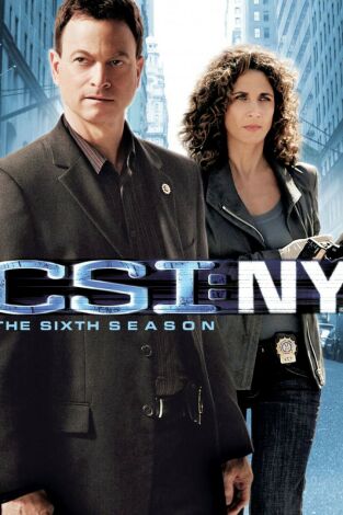 C.S.I. Nueva York. T(T6). C.S.I. Nueva York (T6)
