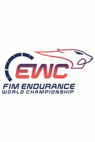 24 horas de Le Mans - Mundial de motociclismo de resistencia. T(2026). 24 horas de Le Mans - Mundial de motociclismo de resistencia (2026)