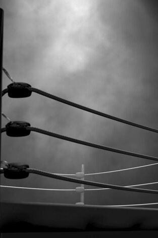 Ultimate Fighting Championship
