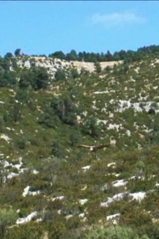 Xarxa Natura. Xarxa Natura: Riera de Merlès