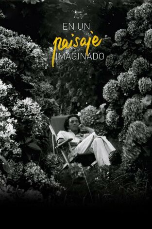 Irudikatutako Paisaian (Sistiaga)