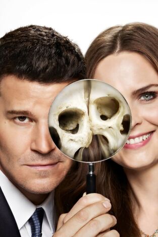 Bones. T(T8). Bones (T8): Ep.2 Los compañeros en el divorcio