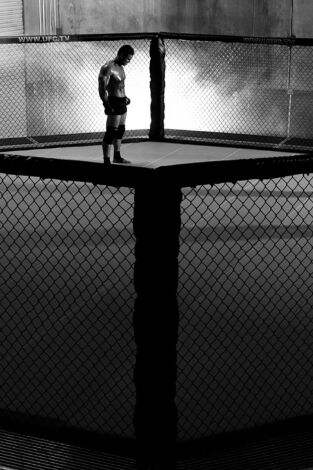 UFC 235: Jones vs Smith. T(2019). UFC 235: Jones vs... (2019): Jon Jones vs Anthony Smith