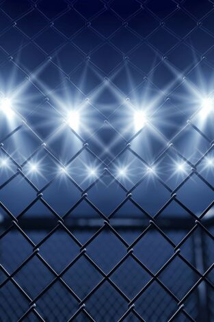 UFC 245: Usman vs Covington. T(2019). UFC 245: Usman vs Covington (2019)