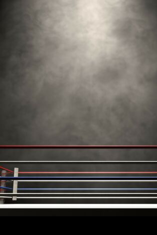 Boxeo: velada Whitaker vs De La Hoya