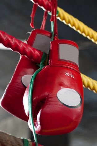 Boxeo: velada Fielding vs Álvarez