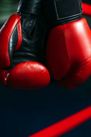 Boxeo