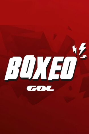 Velada boxeo: Noche de leyendas