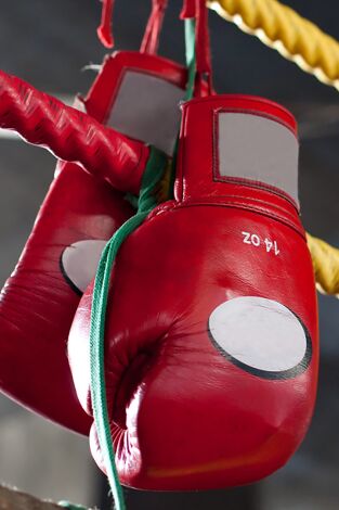 Boxeo: combate Tyson vs Tillis