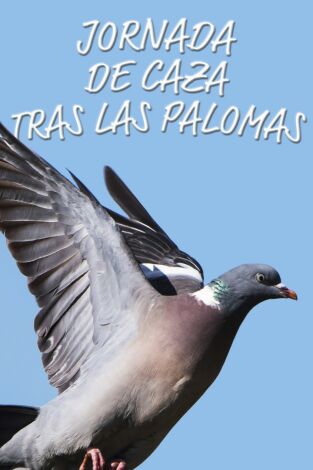 Jornada de caza tras las palomas