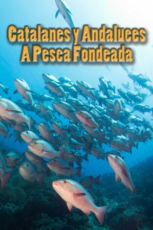 Catalanes y andaluces a pesca fondeada