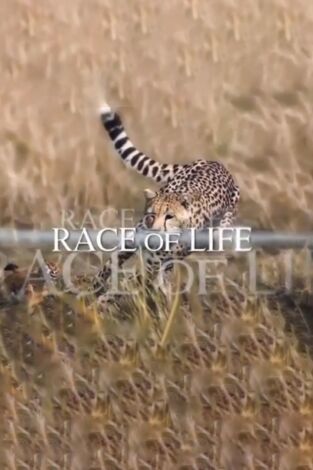 La carrera por la vida. La carrera por la vida: Reptiles