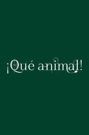 ¡Qué animal!. T(T1). ¡Qué animal! (T1)