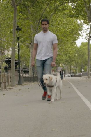 ¡Qué animal!