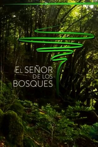 El señor de los bosques. T(T1). El señor de los bosques (T1)