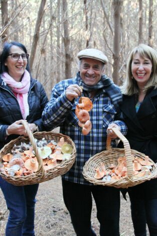 Expedición culinaria. Alimentos de la tierra