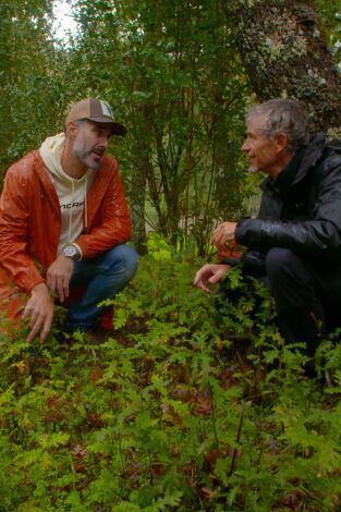 El señor de los bosques. T(T1). El señor de los... (T1): Austigarmin. Bizkaia