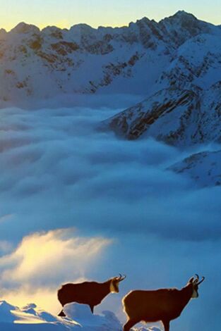 Los montes Tatras