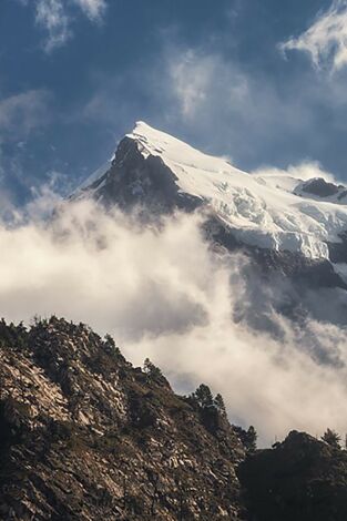 Mindful Earth. Mindful Earth: Disfrutar