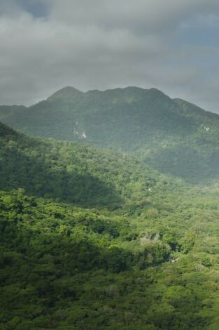 Tayrona. Tayrona 