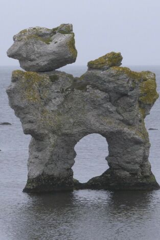 Turismo rural en el mundo. Turismo rural en el mundo: Irlanda: la isla Esmeralda