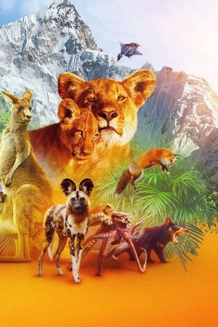Animal