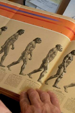 Neandertal, tras la huella de otra humanidad