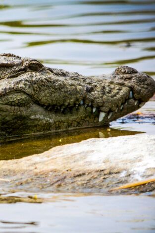 Del amanecer al crepúsculo. Del amanecer al crepúsculo: Ep.1