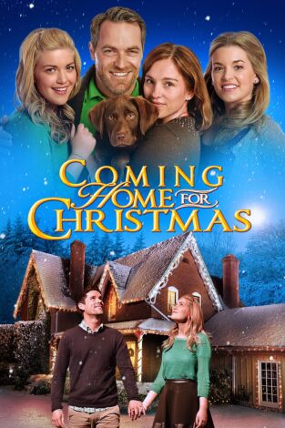 Vuelta a casa por Navidad