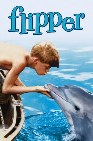 Mi amigo Flipper