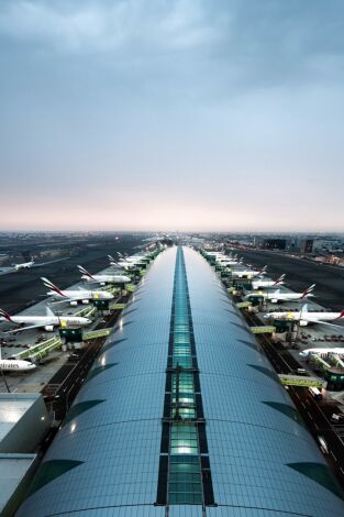 Aeropuerto de Dubai. Aeropuerto de Dubai: Agentes de aduanas