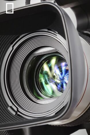 Los incas: auge y caída de un imperio