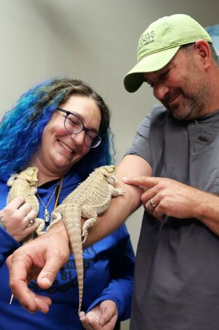 Veterinarios de Nebraska. Veterinarios de Nebraska: Que el caballo te acompañe