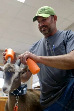 Veterinarios de Nebraska: Pacientes inesperados